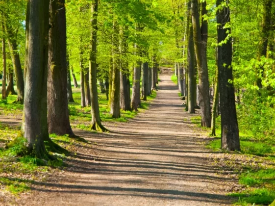 Specialism depression and anxiety